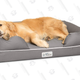 PetFusion Dog Beds and Cat Supplies | Amazon